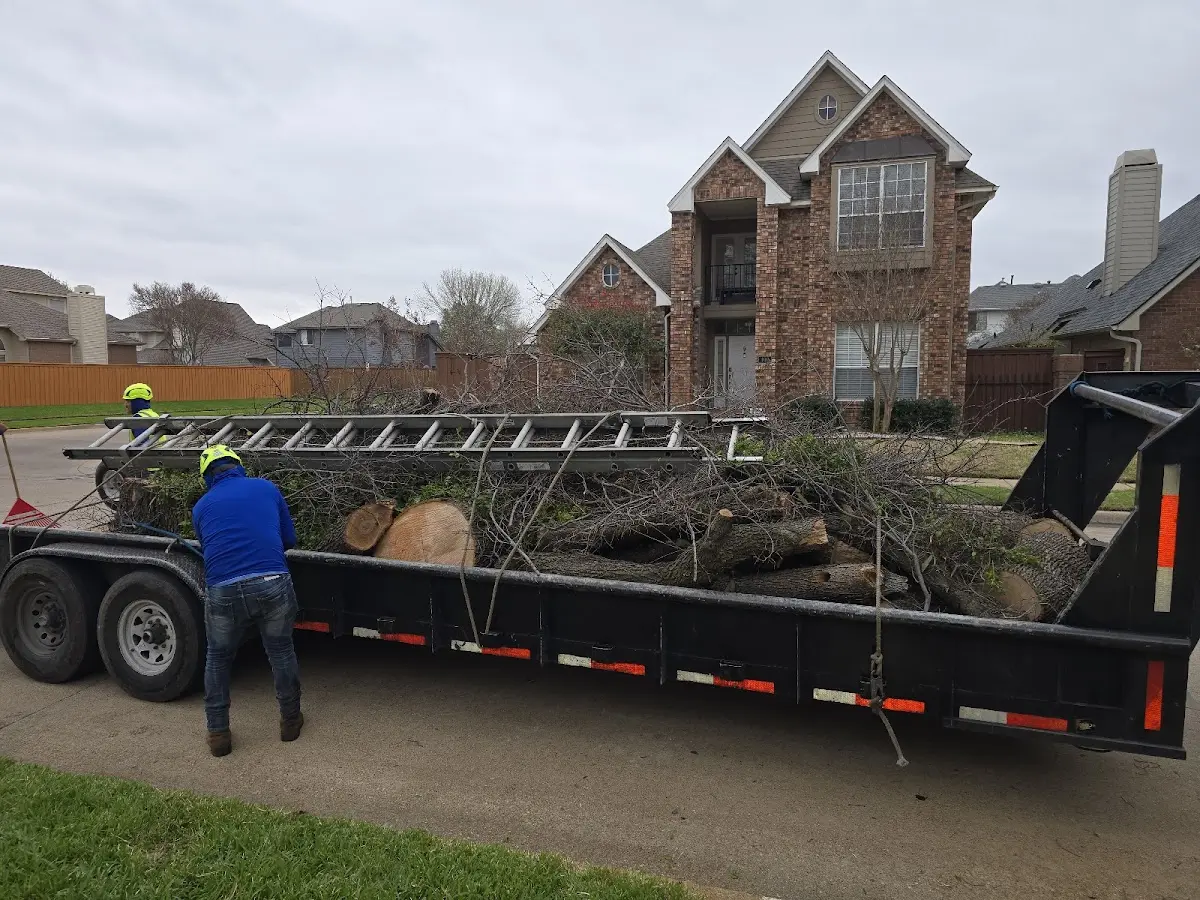 Expert Tree Removal with proper safety equipment in Stewartsville
